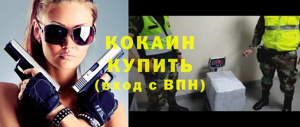 мескалин Ельня