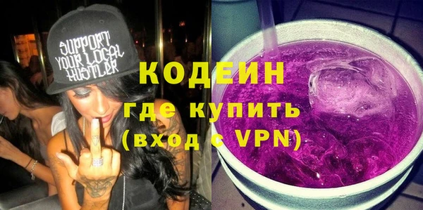 spice Дмитриев